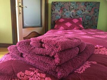 Фото номера Трехместный номер с террасой Гостевой дом Peahen Residence г. Сигулда 7