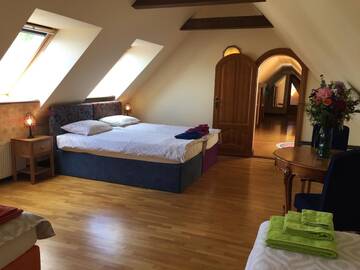 Фото номера Четырехместный номер с собственной ванной комнатой Гостевой дом Peahen Residence г. Сигулда 6