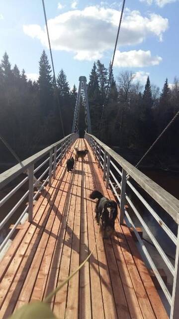 Фото номера Дом с 3 спальнями Дома для отпуска Holiday Home Ermine г. Сигулда 34