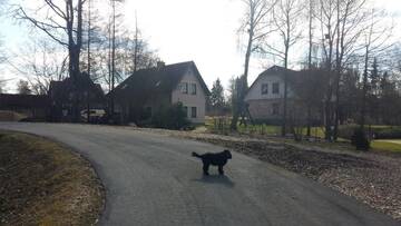 Фото номера Дом с 3 спальнями Дома для отпуска Holiday Home Ermine г. Сигулда 35