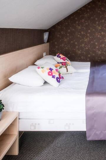 Фото номера Семейный номер Отель Hotel Sigulda г. Сигулда 9