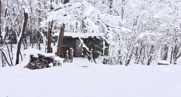 Фото номера Апартаменты с видом на сад Апартаменты Romantic house г. Сигулда 15