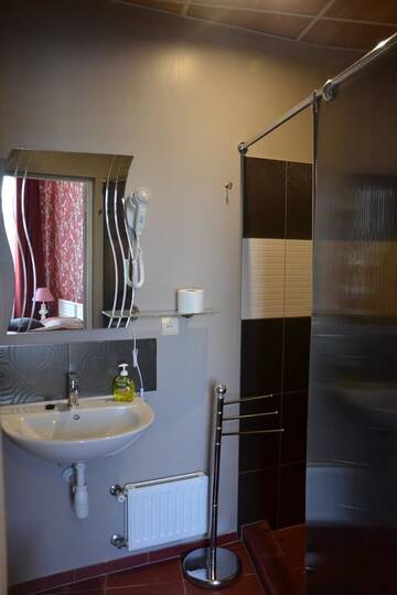 Фото номера Двухместный номер с 1 кроватью Отель City Center Kaķis B&amp;B г. Сигулда 16